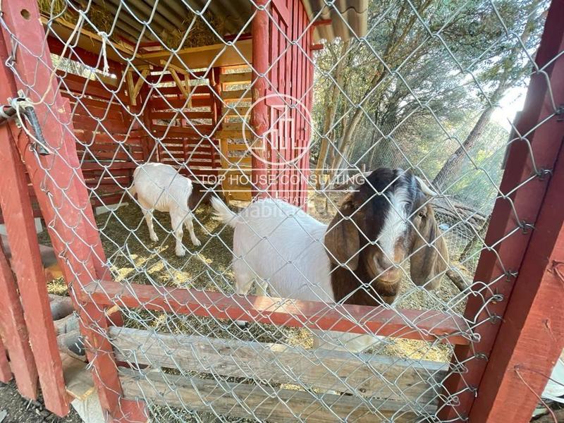 Foto 24d625db-38c5-4e04-91c5-b965cd7d4f65. Finca rústica  en canet de mar en Arenys de Munt