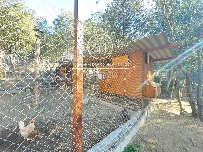 Foto 2812b2dd-a0a4-4aae-870f-96331e8be058. Finca rústica  en canet de mar en Arenys de Munt