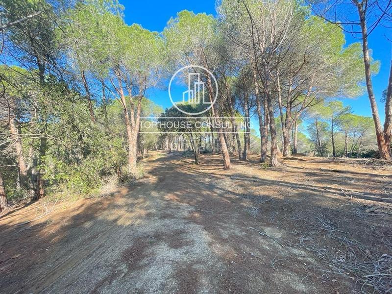 Foto 4f8e2f4d-a110-4509-ab24-2e85a803fe45. Finca rústica  en canet de mar en Arenys de Munt