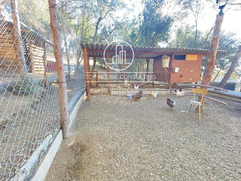 Foto 6d9f09c6-e3f7-42c7-8f5c-21def6e2ac2c. Finca rústica  en canet de mar en Arenys de Munt