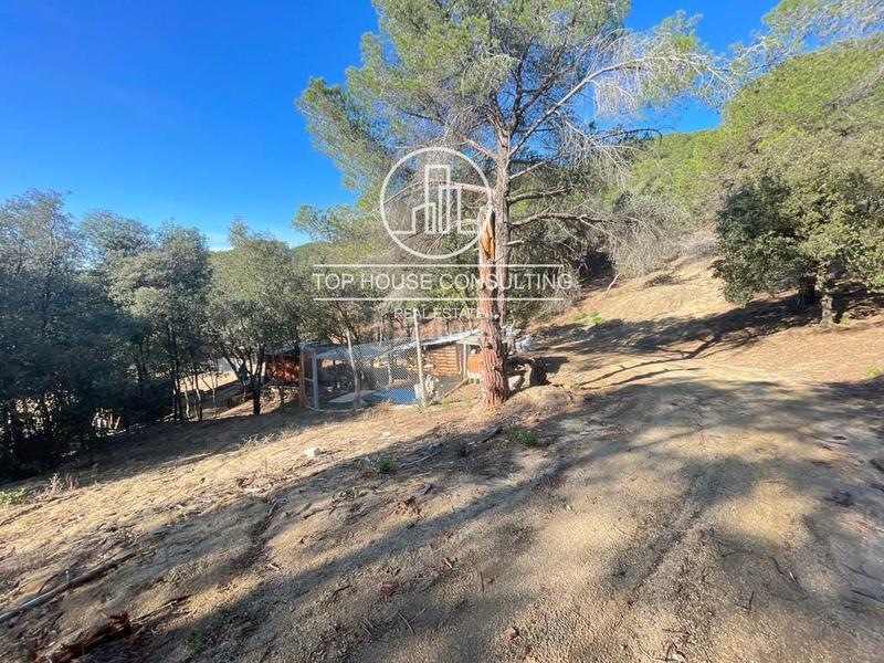 Foto 718fa06c-7656-4f28-a410-187fc69aad1b. Finca rústica  en canet de mar en Arenys de Munt