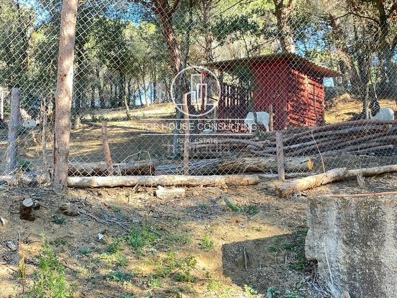 Foto a3892950-a64c-4135-9271-331744527dca. Finca rústica  en canet de mar en Arenys de Munt