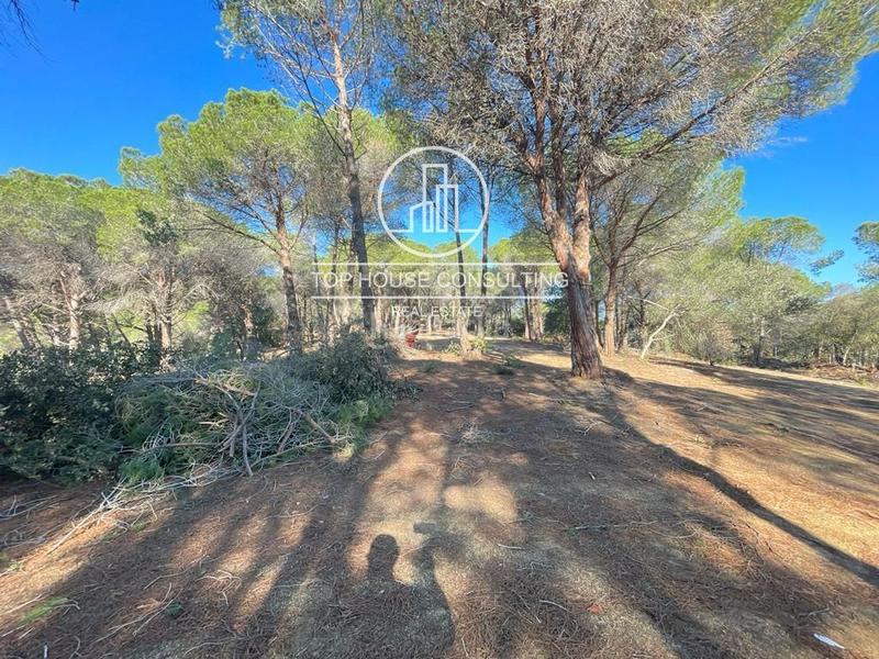 Foto ee03aff2-f853-4269-a1d2-9fdf3f374f7e. Finca rústica  en canet de mar en Arenys de Munt