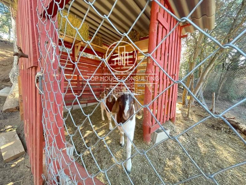 Foto f7740121-e514-4941-a2b0-50f4a1b9b55b. Finca rústica  en canet de mar en Arenys de Munt