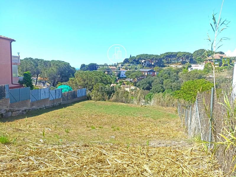Foto 5e7735a9-e9cf-4c81-9aad-af6a6b6ca647. Finca rústica a Urbanitzacions Arenys de Mar