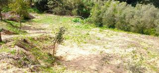 Finca rústica a Sant Iscle de Vallalta. Finca rústica en venta
