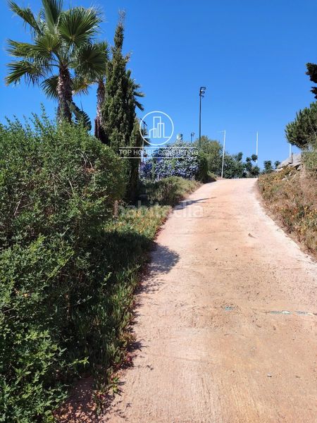 Foto bb1721c9-6736-49c6-b79a-eb97d6ccc8f7. Finca rústica parcela no urbanizable en venta en Cinc Sènies Mataró