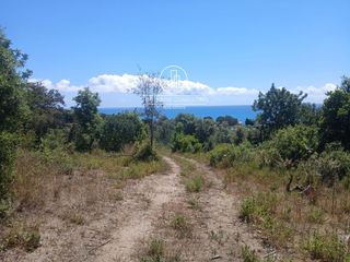 Propriété  N/a. Finca rústica en venta en canet de mar