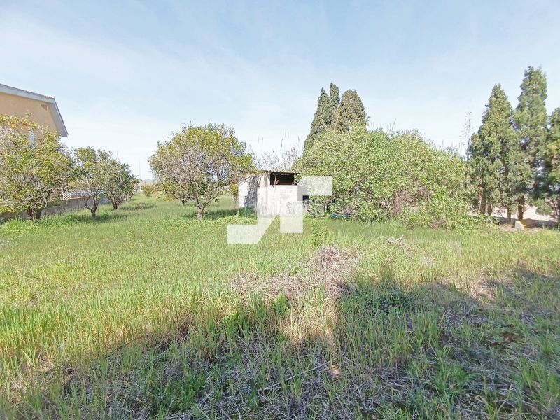 Foto 36206b96-b511-4b86-95b6-e716c8ad3a4d. Finca rústica a Nules