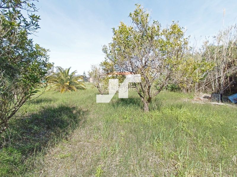 Foto 3d57d014-8f1c-43fe-892b-03cd6bdf2fc3. Finca rústica a Nules