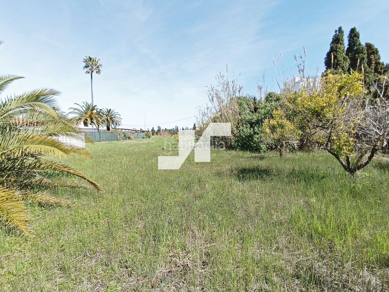 Foto 5043b042-8daf-4dff-b7aa-8daee45ce696. Finca rústica a Nules