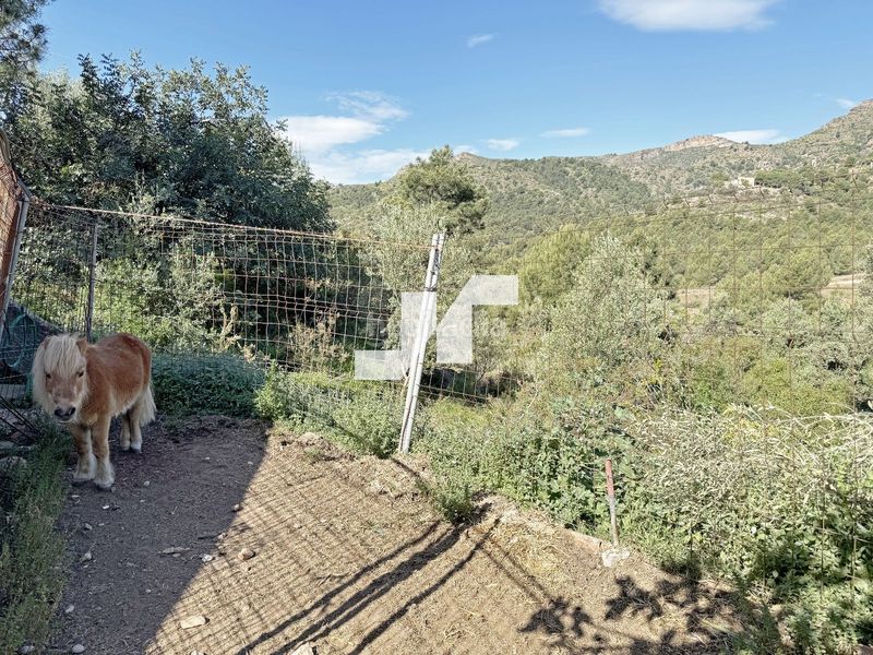 Foto 352bda65-5657-4374-b76d-387a9691811f. Finca rústica a Vall d´Uixó (la)