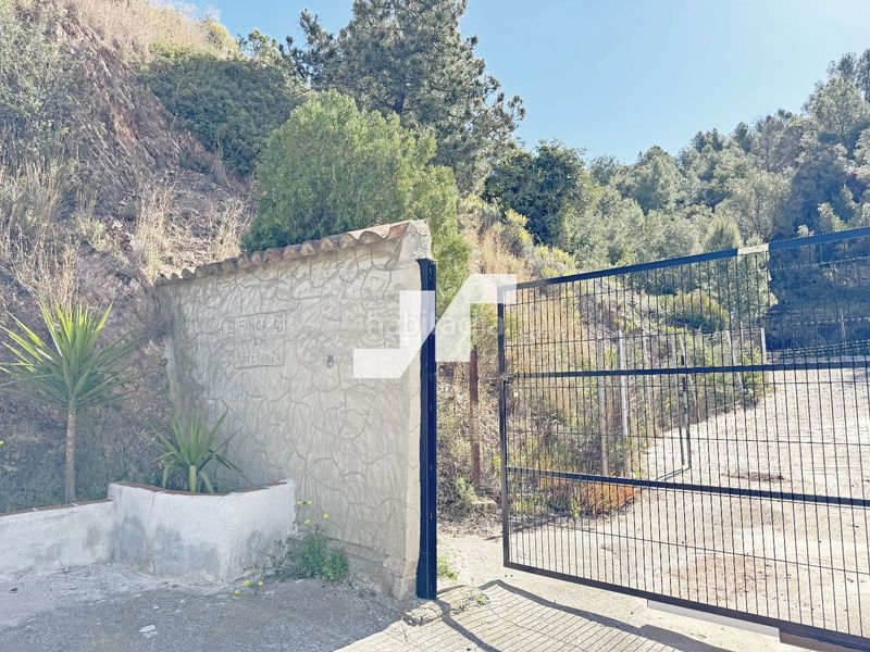 Foto d50f8609-6b07-4001-955e-33d6291ee10e. Finca rústica a Vall d´Uixó (la)