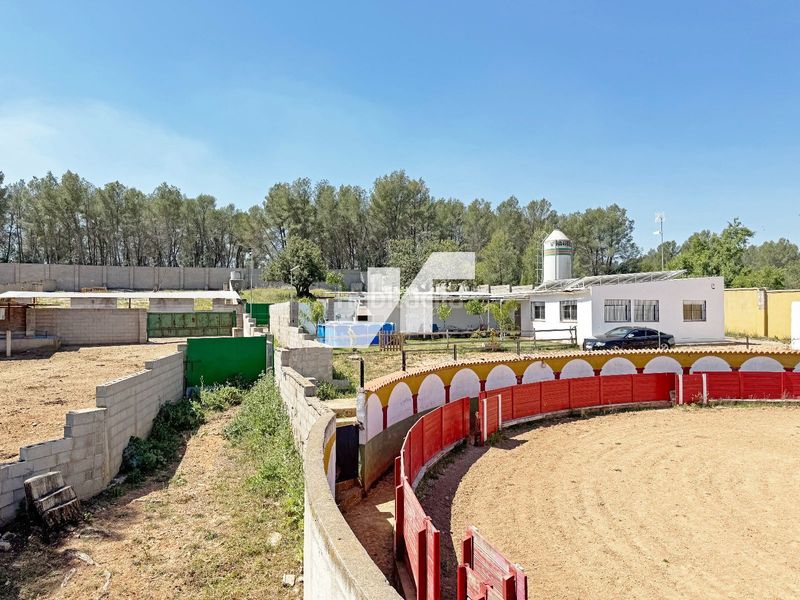 Foto a61fa372-b894-40be-a757-206cfc9a8038. Finca rústica a Onda