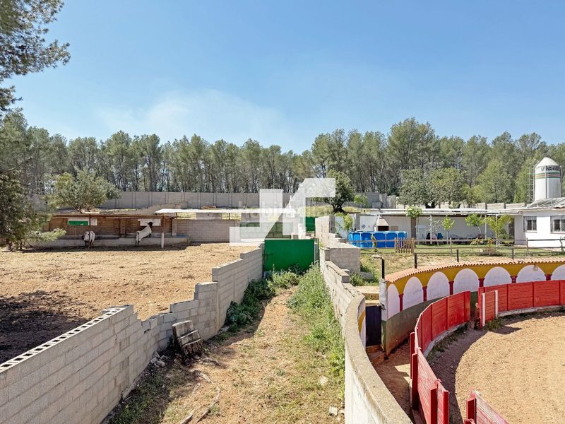 Foto c4664114-c5d6-4d30-ae8b-fb7e7dfdf4de. Finca rústica a Onda