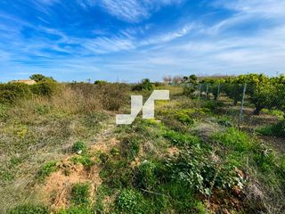 Fondo rustico  Les solaes. Parcela rústica agrícola de 1.761 m en vilareal