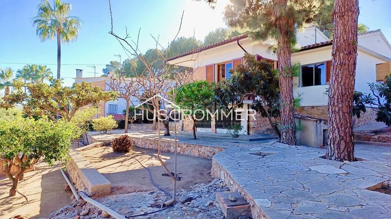 Foto e2977329-a55f-434c-bd39-afecccd8bcd5. Xalet amb aparcament piscina a Madrigal Villarreal / Vila - real