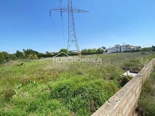 Finca rústica  Monastir de la valldigna. Terreno en venta junto al termet de vilareal