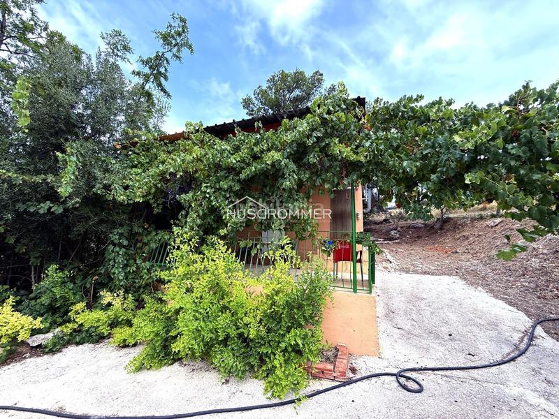 Foto 1a4b183d-f6bd-4235-b1c1-e90fd60f6adb. Finca rústica a Centro Villarreal / Vila - real