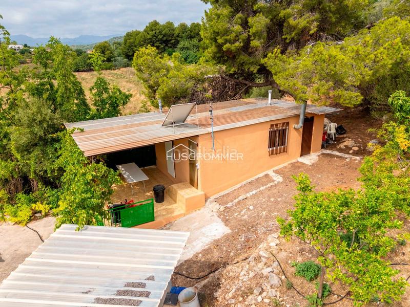 Foto 77f55bbe-6bef-4b31-8a7b-dd4b203fb0cd. Finca rústica a Centro Villarreal / Vila - real