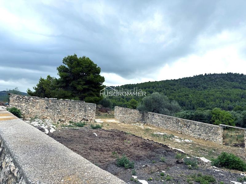 Foto b16892ba-6040-4bd5-9a27-da673b10938f. Finca rústica a Centro Villarreal / Vila - real