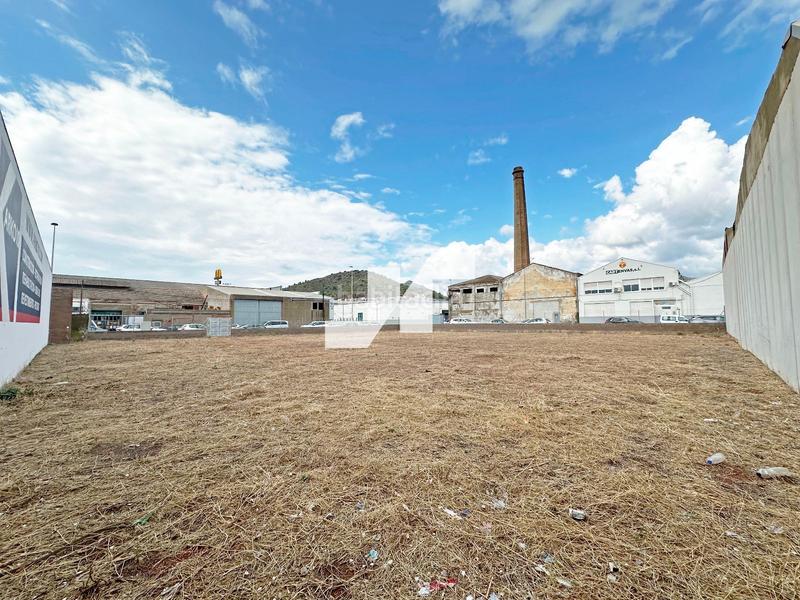 Foto 402d2b52-a48c-4ce3-8173-ea4c1ed83a93. Finca rústica a Vall d´Uixó (la)