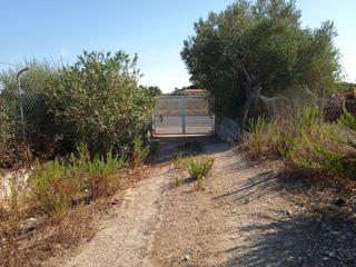 Finca rstica a Sineu