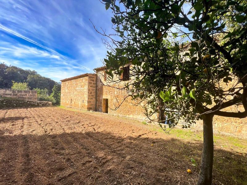 Foto a32c0260-bb94-4239-a5c5-584c8b7808a9. Chalet avec chauffage parking dans Pollença poble Pollença