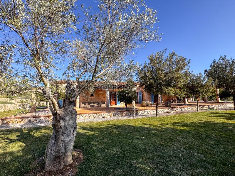 Foto 9df3f30e-2d64-4dfe-9663-1cbce60784ae. Xalet amb calefacció piscina a Campanet