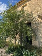 Residential Plot in Sant Joan