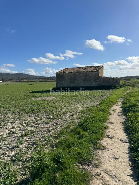 Foto 828925eb-48ec-44cb-9a14-0a4c322235f4. Terrain résidentiel dans Sant Joan