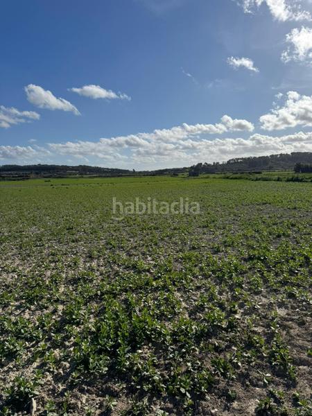 Foto 9027fe08-ff9a-49ce-9cee-ed59bd5ecc71. Terrain résidentiel dans Sant Joan