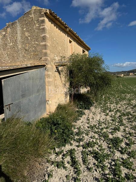 Foto 0fd846c4-b8d9-4eb3-97bb-6d2f87541436. Wohngrundstück in Sant Joan