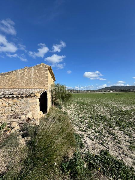 Foto e59eeae4-8de6-4cb3-9b5b-fab31e651a1d. Wohngrundstück in Sant Joan