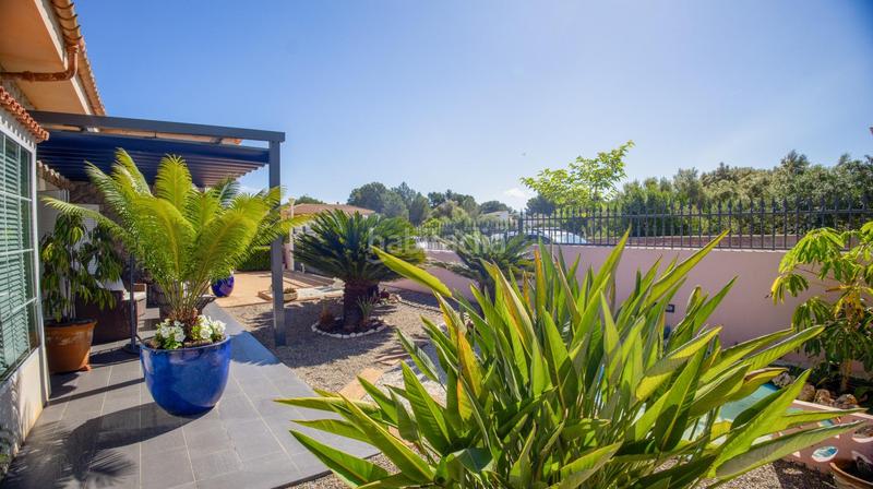 Foto c1a59358-f085-44ef-93a7-999b61acc1dd. Chalet en Son Serra de Marina Santa Margalida