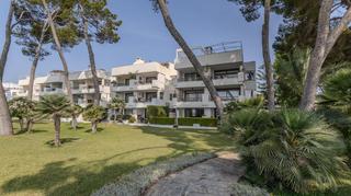 Lloguer Planta baixa a Port d´Alcúdia-Platja dÁlcúdia