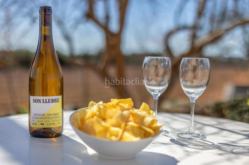 Foto 1f17ff0b-938c-4708-b0a7-aff94d1b76d4. Lloguer xalet amb aparcament a Santa Margalida poble Santa Margalida