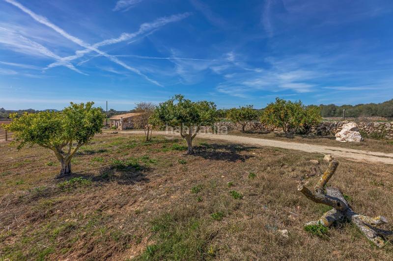 Foto 43ffc309-3961-4b94-a404-6a53b2bb59cf. Lloguer xalet amb aparcament a Santa Margalida poble Santa Margalida