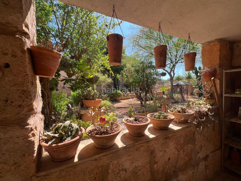 Foto 5d512dae-8662-458a-88ee-9afc4fd7406d. Miete bauernhof mit heizung parking pool in Algaida