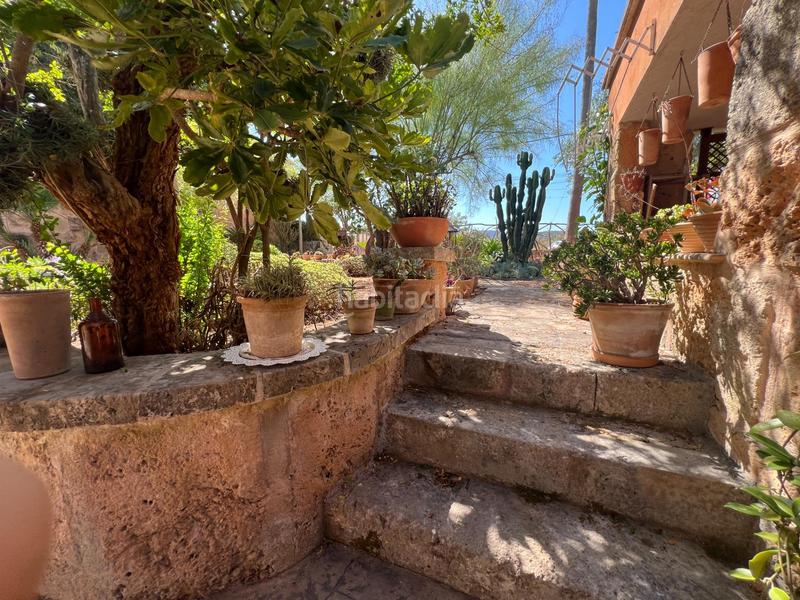 Foto 0f0f4d18-7490-448d-a54d-52258121e591. Alquiler masía en Algaida