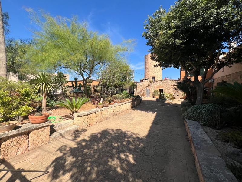Foto ec9d9669-1924-4cd9-8100-049dd6eb2780. Alquiler masía en Algaida