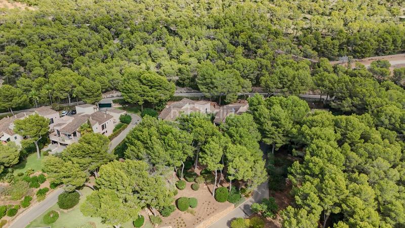 Foto 36c6a2bb-304d-4097-84ea-282018e2b7d8. Reihenhaus in carrer berenguer de palou 5 in Costa de la Calma Calvià