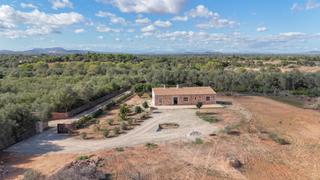 Rent House in Felanitx Poble
