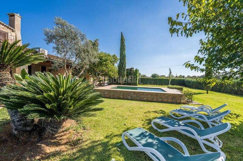 Foto 41e0d0ce-e8dd-4524-80b5-2ad7150fc78a. Miete chalet mit heizung parking pool in Binissalem