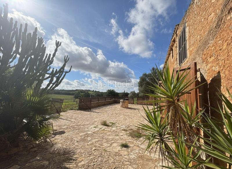 Foto 0c6a793b-a9fc-4060-8a6c-722a0212cbc9. Alquiler casa en Vilafranca de Bonany