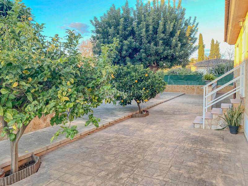 Foto b09489ce-f5b3-4fe1-b9e3-6da0bcc6d7ad. Affitto casa con parcheggio in Marratxinet Marratxí