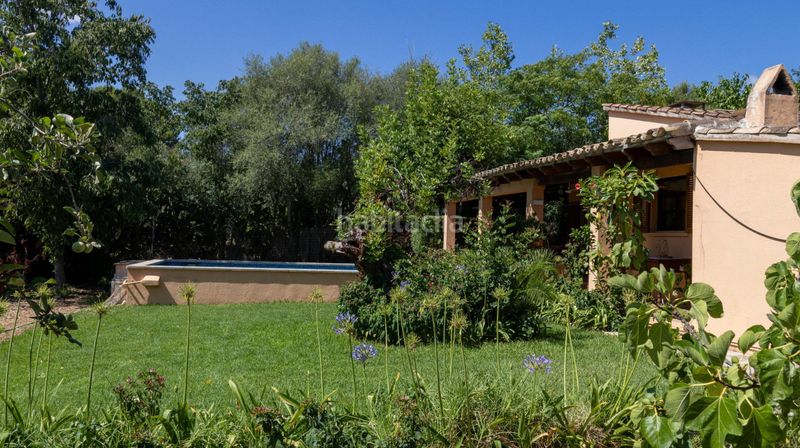 Foto 2347cd16-c8d9-49f7-ad6d-20227a06652b. Casa amb piscina a Pollença poble Pollença