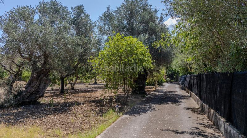 Foto 25576542-9170-4a8b-95c9-e2c69aad4e9c. Casa amb piscina a Pollença poble Pollença