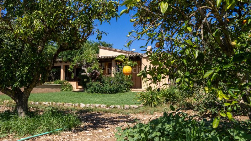 Foto 3e71e95f-6685-4b16-b1b5-2bc60cfd1b1b. Casa amb piscina a Pollença poble Pollença