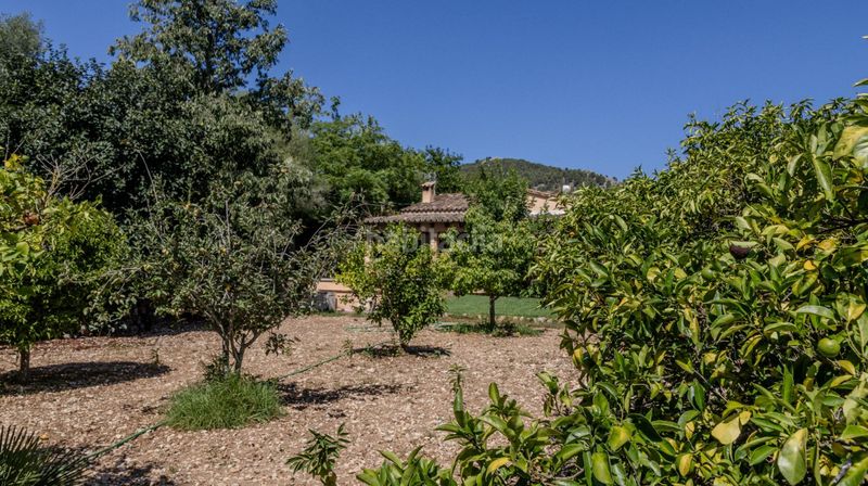 Foto deba5669-d0c1-4426-b4de-402c829eddca. Casa amb piscina a Pollença poble Pollença
